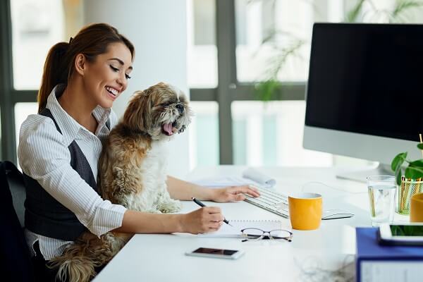 virtual assistant imnage